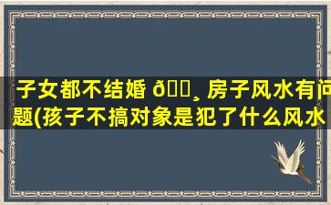 子女都不结婚 🌸 房子风水有问题(孩子不搞对象是犯了什么风水)